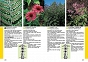 333 rośliny ogrodowe Najpiękniejsze krzewy, byliny i kwiaty cięte