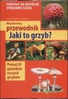 Obrazek