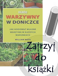 Ogród Warzywny W Doniczce Agroświat Internetowa Księgarnia