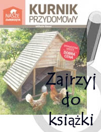 Kurnik przydomowy