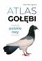 Atlas gołębi - polskie rasy