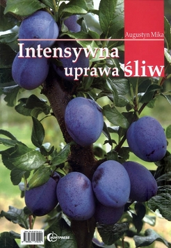 Intensywna uprawa śliw