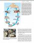 Parazytologia weterynaryjna Georgis - 2