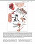 Parazytologia weterynaryjna Georgis - 5