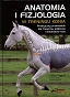 Anatomia i fizjologia w treningu konia