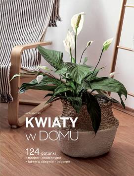 Kwiaty w domu