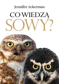 Co wiedzą sowy?
