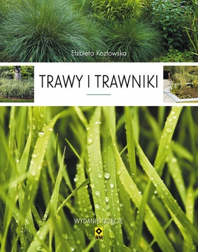 Trawy i trawniki