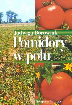 Pomidory w polu