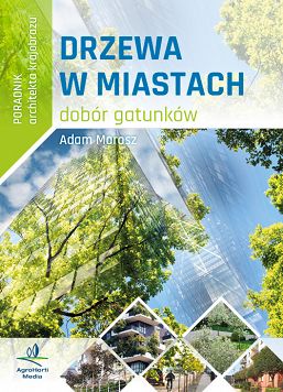 Drzewa w miastach dobór gatunków