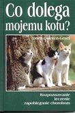 Co dolega mojemu kotu?