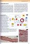 Immunologia kliniczna psów i kotów - 2