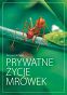 Prywatne życie mrówek