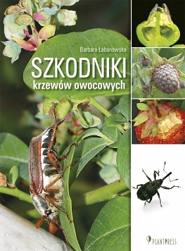 Szkodniki krzewów owocowych