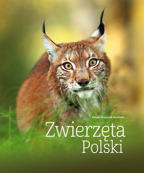 Zwierzęta Polski