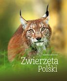 Zwierzęta Polski