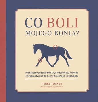 Co boli mojego konia?