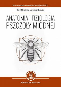 Anatomia i fizjologia pszczoły miodnej