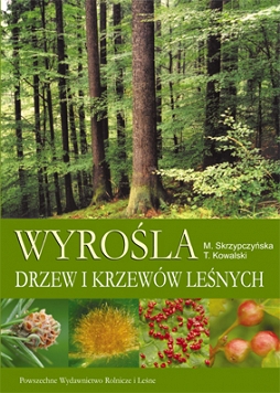 Wyrośla drzew i krzewów leśnych