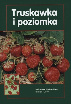 Truskawka i poziomka