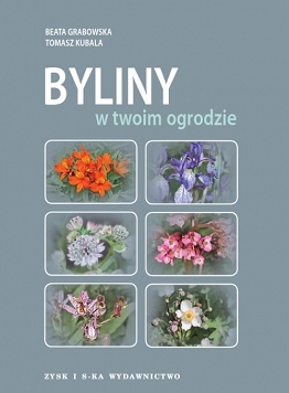 Byliny w twoim ogrodzie