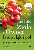 Jadalne zioła i owoce lasów, łąk i pól - jak je rozpoznawać