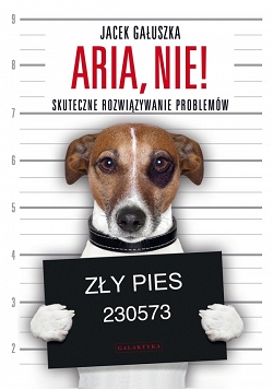 Aria, nie! Skuteczne rozwiązywanie problemów