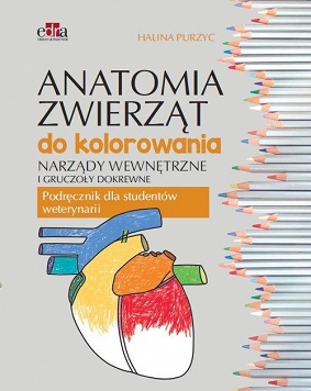 Anatomia zwierząt do kolorowania. Narządy wewnętrzne i gruczoły dokrewne