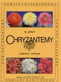 Chryzantemy