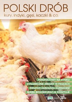 Polski drób kury, indyki, gęsi, kaczki & co.