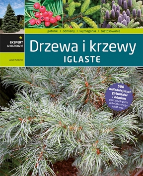 Drzewa i krzewy iglaste Multico