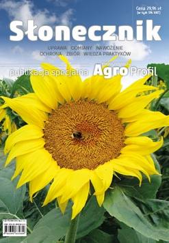 Słonecznik – uprawa, odmiany, nawożenie, ochrona, zbiór