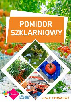 Pomidor szklarniowy – zeszyt uprawowy