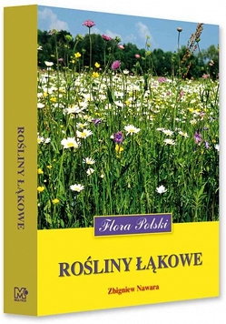 Rośliny łąkowe