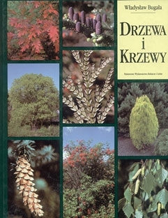 Drzewa i Krzewy