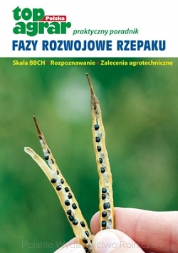 Fazy rozwojowe rzepaku