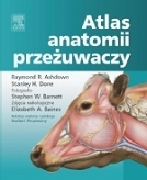 Atlas anatomii przeżuwaczy