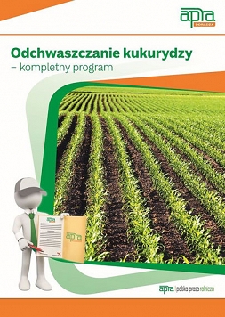 Odchwaszczanie kukurydzy – kompletny program