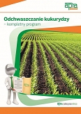 Odchwaszczanie kukurydzy – kompletny program