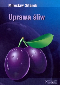 Uprawa śliw