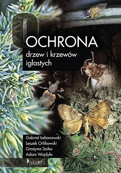 Ochrona drzew i krzewów iglastych