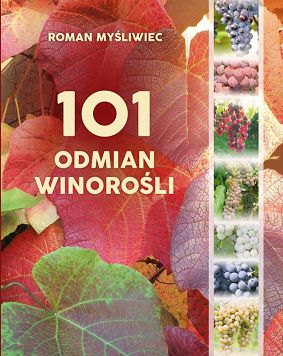 101 odmian winorośli