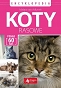 Koty rasowe  Encyklopedia