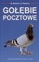 Gołębie pocztowe