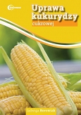 Uprawa kukurydzy cukrowej