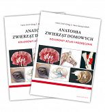 Anatomia zwierząt domowych