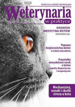 Weterynaria w Praktyce - dodatek medycyna kotów