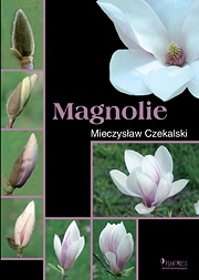 Magnolie