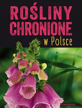 Rośliny chronione w Polsce