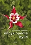 Encyklopedia bylin tom 1